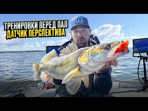 Видео: ПОДГОТОВКА ко второму этапу PAL с датчиком ПЕРСПЕКТИВА!