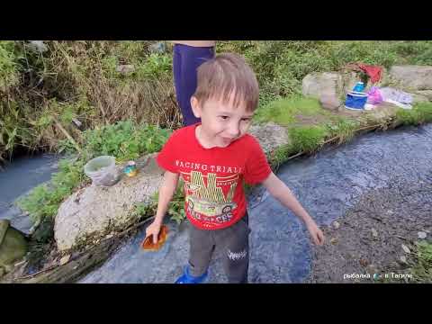 Видео: рыбалка с семьей , меня обрыбачил сын ,битва проиграна