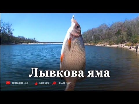 Видео: ЛЫВКОВА ЯМА. Рыба есть, но и цеп хватает т. Поплавок в приоритете. 22 сент. 25г.