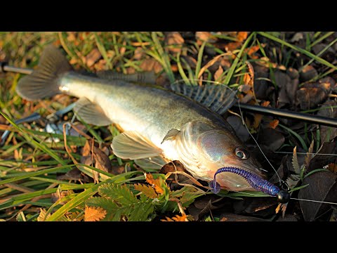Видео: СИЛІКАТНИЙ - Кар'єр - Місто Житомир, що тут КЛЮЄ???