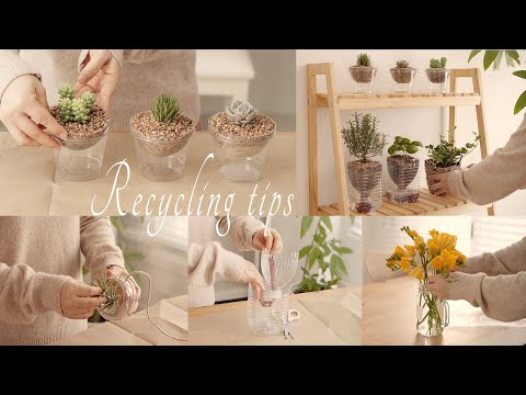Видео: SUB) Не выбрасывайте! Умные советы по переработке в повседневной жизни🌏/ Ноль отходов