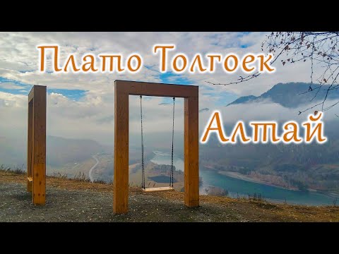 Видео: Плато Толгоек, республика Алтай