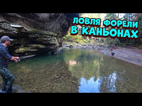 Видео: Ловля форель в каньонах. Собираю и готовлю опята с мясом. Доделал каменный домик.