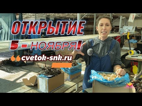 Видео: Распаковка вернувшихся посылок / Сад Ворошиловой