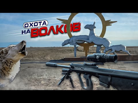 Видео: Охота на ВОЛКОВ на приваде! 25 ЧАСОВ в засидке