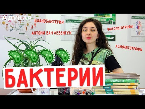 Видео: Бактерии | Биология ЦТ, ЕГЭ