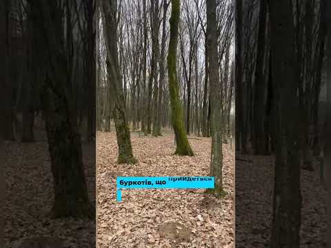 Видео: Все сяяло, крім мене