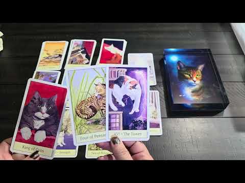 Видео: ТЕЛЕЦ ♉️ ВАМ ДЕЙСТВИТЕЛЬНО НУЖНО ПОДГОТОВИТЬСЯ СЕЙЧАС!!!