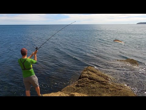 Видео: Первая рыбалка на приманку в Корнуолле | Ловля рыбы, которая разрушает приманки | Рыбалка на прим...