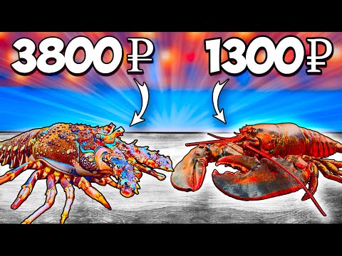 Видео: ЛОБСТЕР VS ЛАНГУСТ ЧТО ВКУСНЕЕ ?