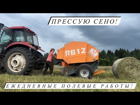 Видео: Сколько рулонов собрали с первого укоса? Сложили в скирду и накрыли флисом! Хранение сена на ферме!