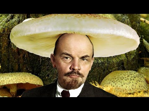 Видео: Стрим Ежи Сармата [16.10.2025] Строим грибной коммунизм в Stellaris не привлекая внимания санитаров!