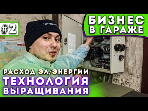 Видео: #2 Выращивание Шампиньонов | Расход Эл/Энергии | Бизнес В Гараже