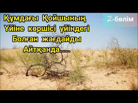 Видео: Құмдағы Қойшының тағдыры 2-бөлім #аудиокітап әңгімелер жинағы