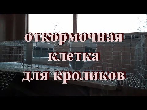 Видео: Откормочная клетка для кроликов