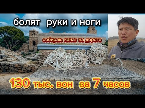 Видео: Если Вы устроите людей останетесь без работы 99% #корея #жизньвкорее #влогкорея #работавкорее