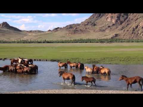 Видео: Аяллын жим -Эх оронч тэсийн гол - aylaliin jim tesiin gol