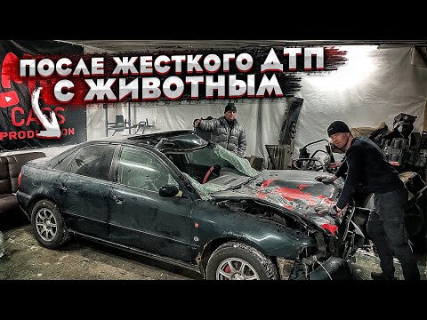 Видео: Тачка за миллион.Битая Ауди. Жёсткое Дтп.Можно Ли Восстановить