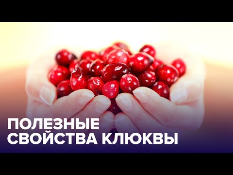 Видео: Польза КЛЮКВЫ: может ли она заменить антибиотики и с чем ее есть?