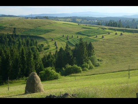 Видео: Хата край дороги