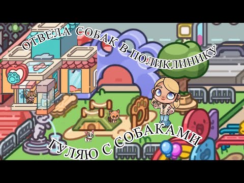 Видео: Гуляю с собаками / отвела собак в поликлинику ￼