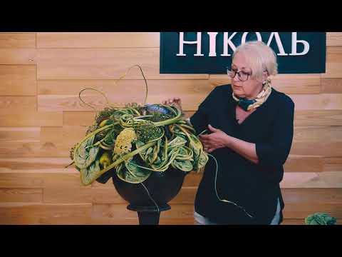 Видео: Выпуск - 7. Школа Флористов-Дизайнеров "Николь"