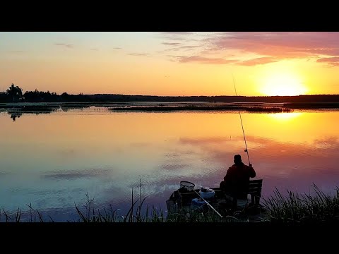 Видео: Лещ на Поплавок. Рыбалка с Ночевкой на Чигиринском Водохранилище. Лещ на Удочку.