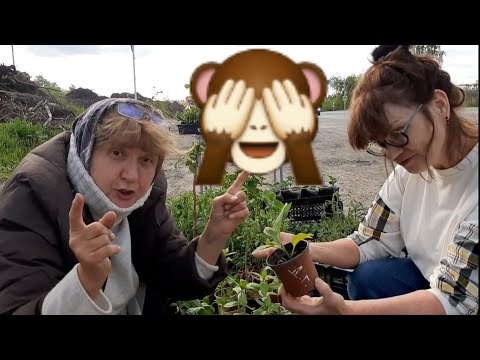 Видео: #ТорговляНаТрассе🌵Сравни ваю цены в магазине🌵И на трассе🌵