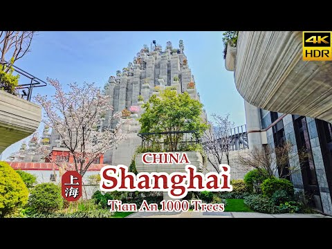 Видео: [4K КИТАЙ] Откройте для себя висячие сады Шанхая: прогулка по Tian An 1000 Trees