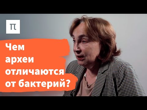 Видео: Археи — Елизавета Бонч-Осмоловская / ПостНаука