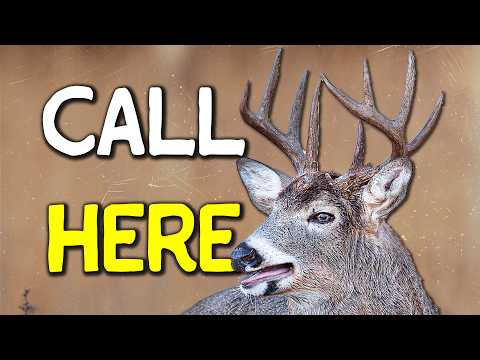 Видео: Почему звонок по поводу скрапов может стать переломным моментом