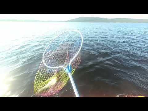 Видео: RIB Навигатор 370R. Озеро Нижняя Пиренга ч  2 Людмила поймала кумжу