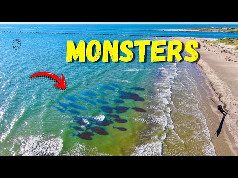 Видео: Рыбак бросил это в огромную стаю рыб и поймал ЭТО!!