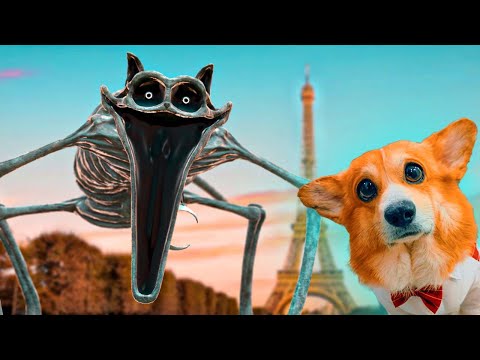 Видео: КОТ ДРЕМОТ ЕХЕ. БИТВА В ПАРИЖЕ!! (Корги Коржик) Говорящая коварная собака