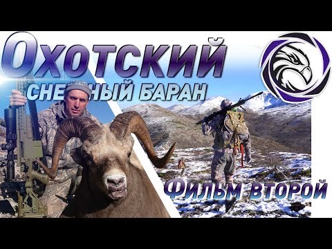 Видео: ТРОФЕЙНАЯ ОХОТА: ОХОТСКИЙ СНЕЖНЫЙ БАРАН. ФИЛЬМ ВТОРОЙ