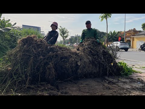 Видео: Мы очистили тротуар с упорством и страстью – потрясающее преображение!
