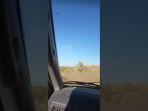 Видео: #отдых #рыбалка #охота