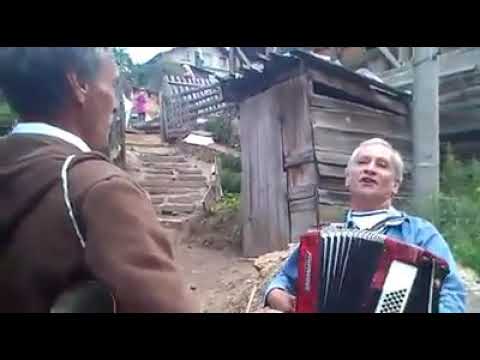 Видео: Алицата-оти си хаве плакало