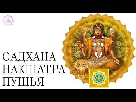 Видео: Накшатра Пушья, как ее гармонизировать?