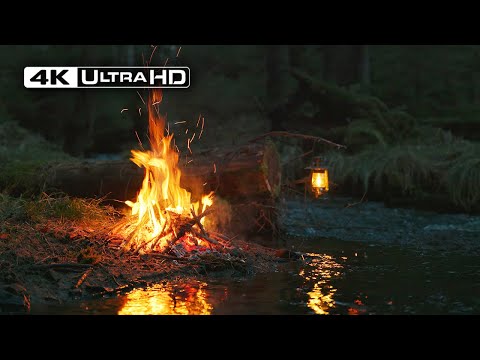 Видео: 4K 📺 Костер у темной реки 🌙 Успокаивающие звуки природы