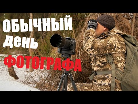 Видео: фотоохота / новые места / превозмогания )