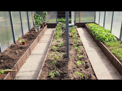 Видео: На улице немного теплеет...и работы прибавляется.