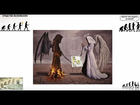 Видео: Гепсидин и его роль в развитии железодефицита. Вебинар 10.