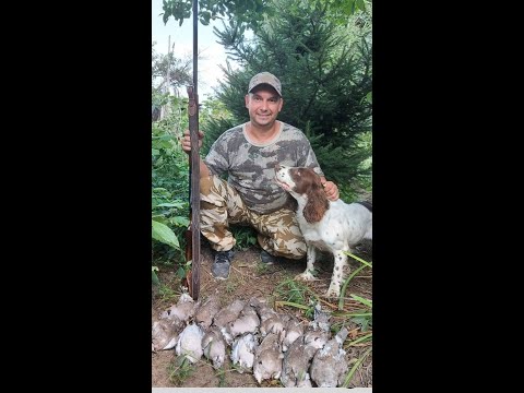 Видео: Hunting! Охота на голубя! ATA ARMS NEO 20 калибр! Первые трофеи Сани! Итог : куча позитивных эмоций!