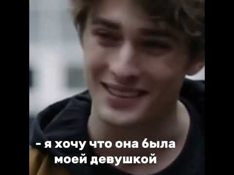 Видео: Подборка с Регулусом и Сириусом 🖤