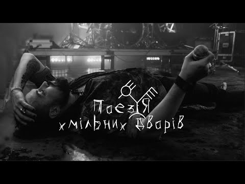 Видео: Мертвий півень  - Поезія хмільних дворів [Lyric video]