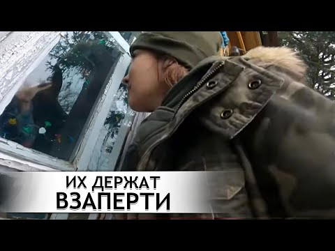 Видео: Я НЕ СМОГЛА С НИМИ ПОГОВОРИТЬ…Орловская область; Кромской р-н; д. Макеево