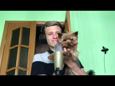 Видео: АСМР 10 ТРИГГЕРОВ ДЛЯ СНА|ASMR 10 TRIGGERS FOR SLEEP