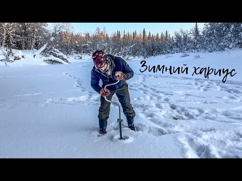Видео: Зимний хариус / Морозный день на таёжной реке / Подлёдная рыбалка