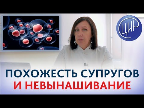 Видео: HLA, невынашивание, СКЛ и лимфоцитоиммунотерапия. Иммунологические аспекты невынашивания.
